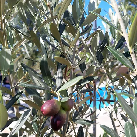 Sidro Krk Βίλα Zgaljic