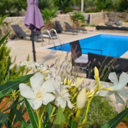 Villa Sidro Krk Zgaljic