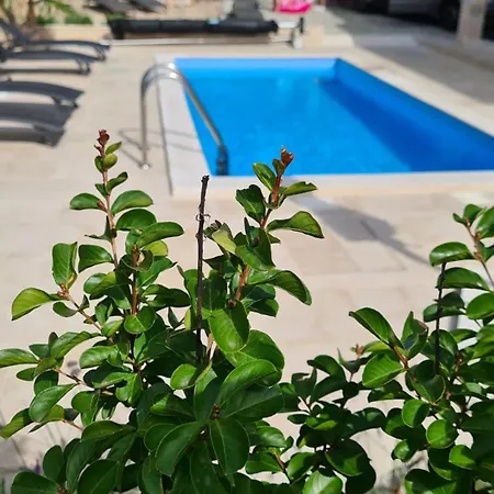 فيلة Sidro Krk Zgaljic