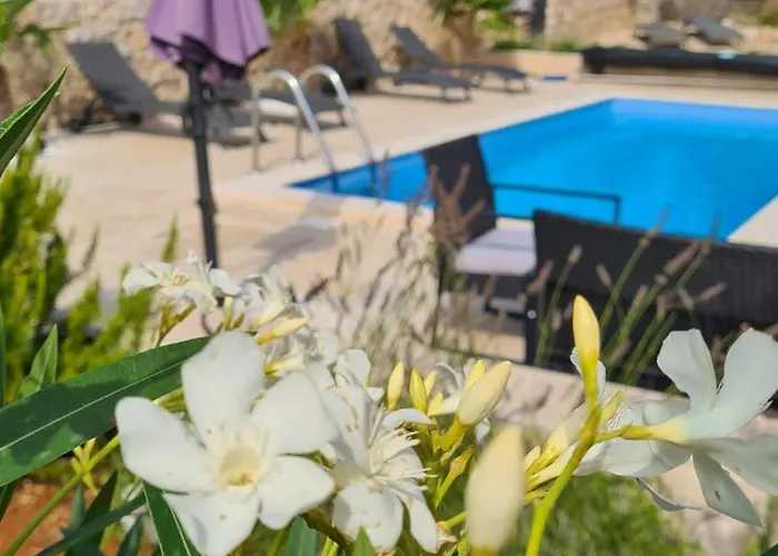 Villa Sidro Krk Zgaljic